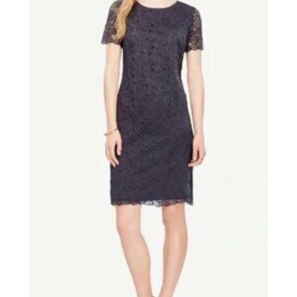 Ann Taylor Women's Blue Gray Lace Shift Dress Scallop Edge‎ Lined Size 6